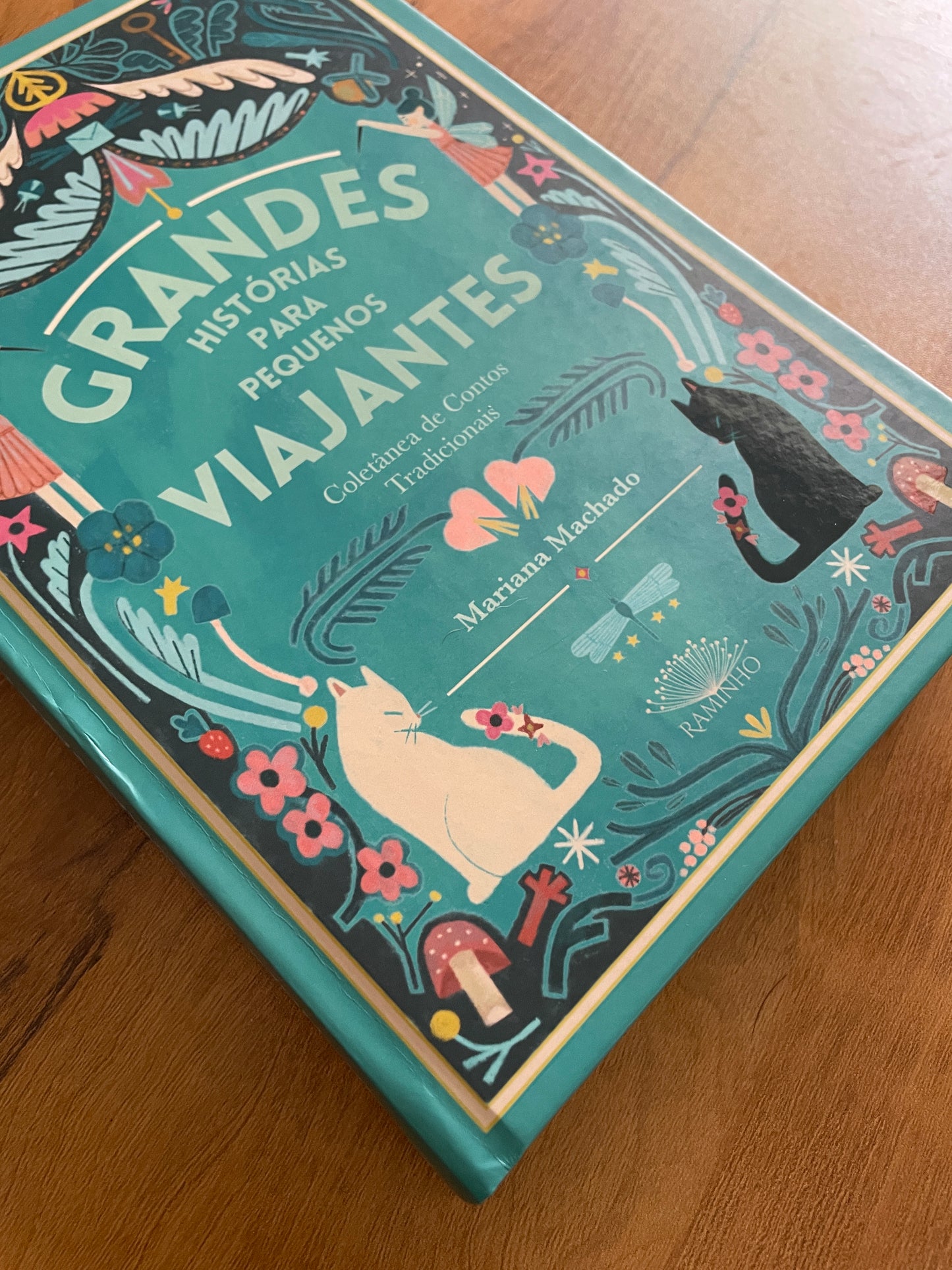 GRANDES HISTÓRIAS PARA PEQUENOS VIAJANTES Hardcover book